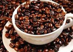 دراسة أمريكية : الكاكاو سلاح فعال لمحاربة مرض الزهايمر